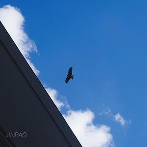 欧美裸乳 小黄片
